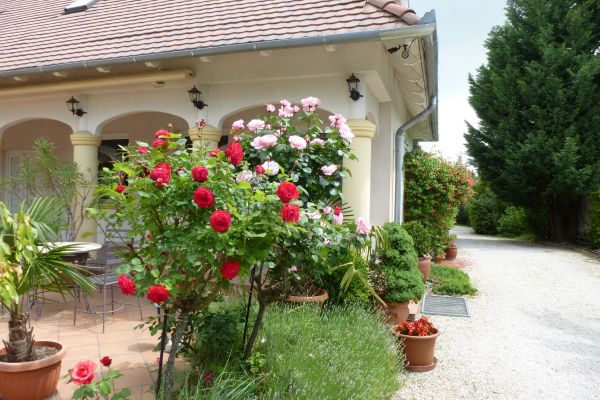 Albergo Giardino (Balatongyörök)